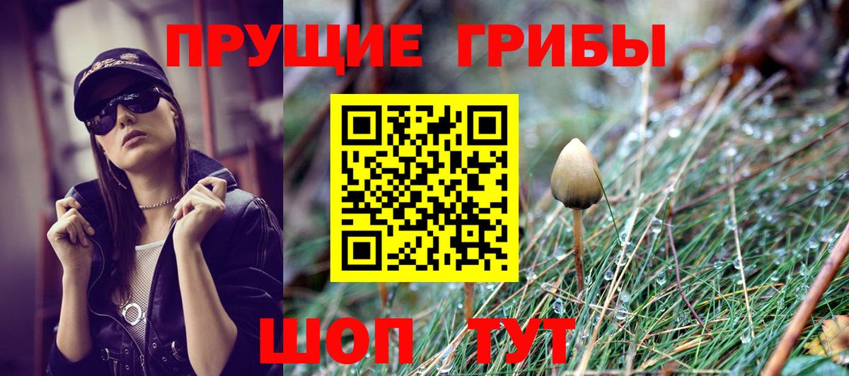 Скопин  Галлюциногенные грибы GOLDEN TEACHER  Вход с VPN 