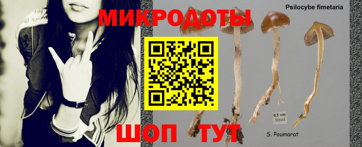Псилоцибиновые грибы Psilocybine cubensis Скопин